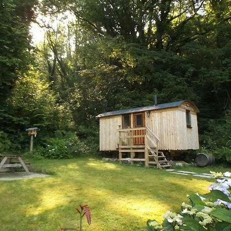 'Morris' The Shepherd'S Hut And Woodland Hot Tub Experience Кармартен Екстер'єр фото