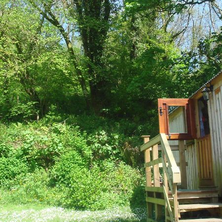 'Morris' The Shepherd'S Hut With Woodland Hot Tub Кармартен Екстер'єр фото