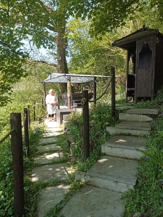 'Morris' The Shepherd'S Hut With Woodland Hot Tub Кармартен Екстер'єр фото