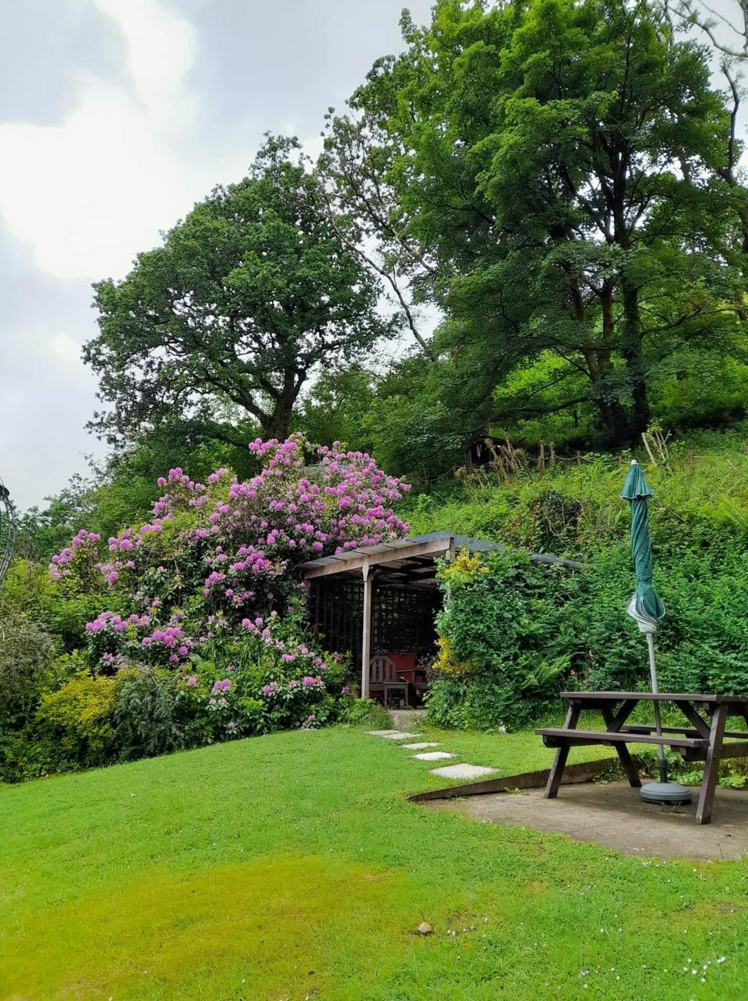 'Morris' The Shepherd'S Hut And Woodland Hot Tub Experience Кармартен Екстер'єр фото