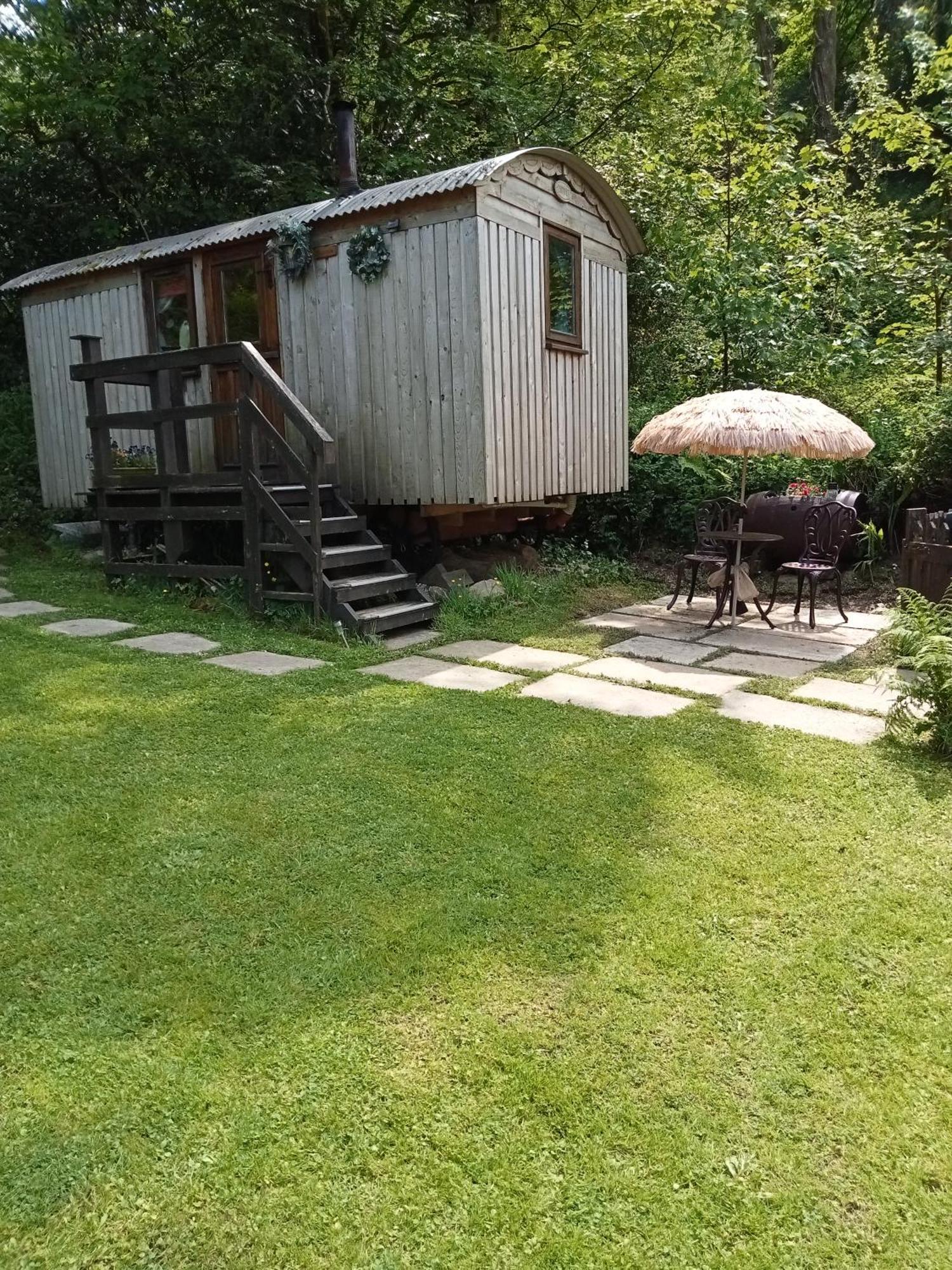 'Morris' The Shepherd'S Hut And Woodland Hot Tub Experience Кармартен Екстер'єр фото