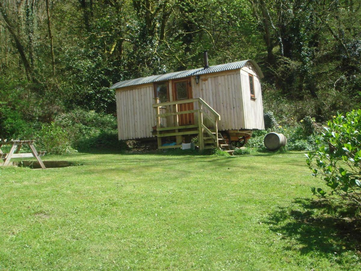 'Morris' The Shepherd'S Hut With Woodland Hot Tub Кармартен Екстер'єр фото