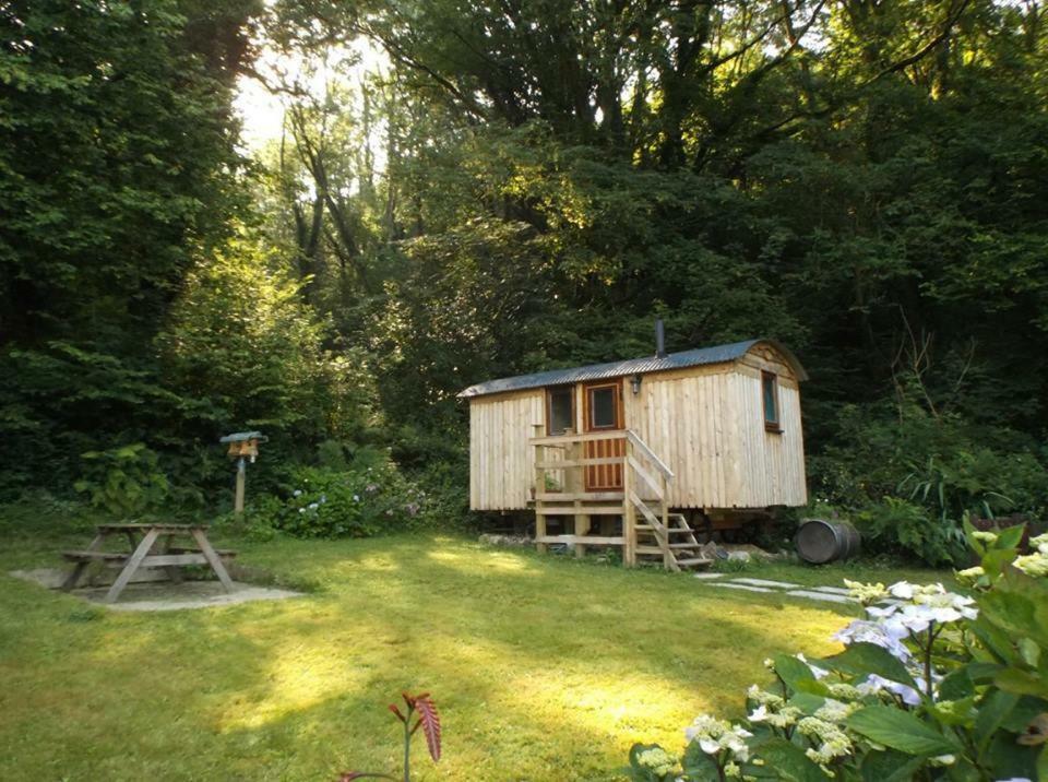 'Morris' The Shepherd'S Hut And Woodland Hot Tub Experience Кармартен Екстер'єр фото