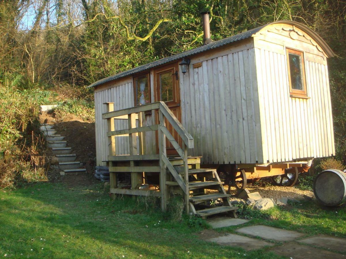 'Morris' The Shepherd'S Hut With Woodland Hot Tub Кармартен Екстер'єр фото