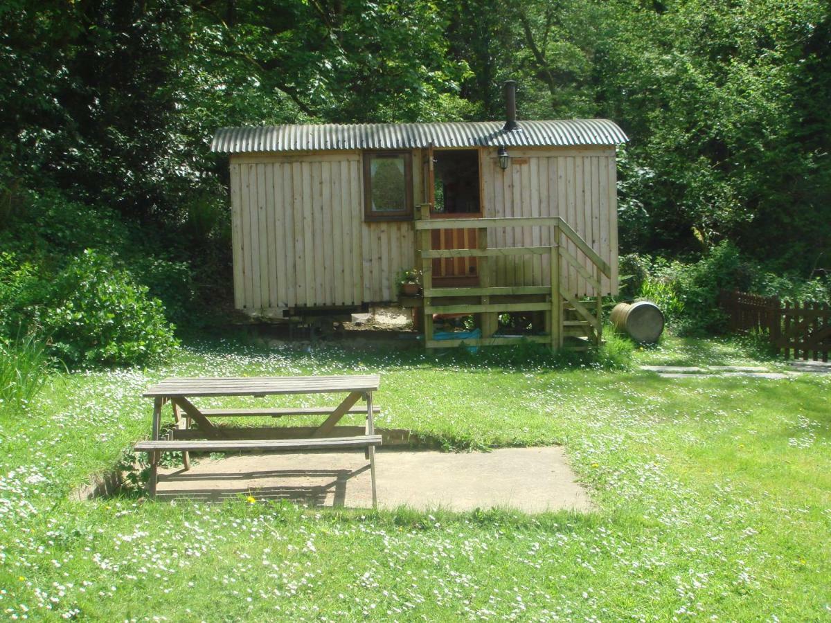 'Morris' The Shepherd'S Hut With Woodland Hot Tub Кармартен Екстер'єр фото