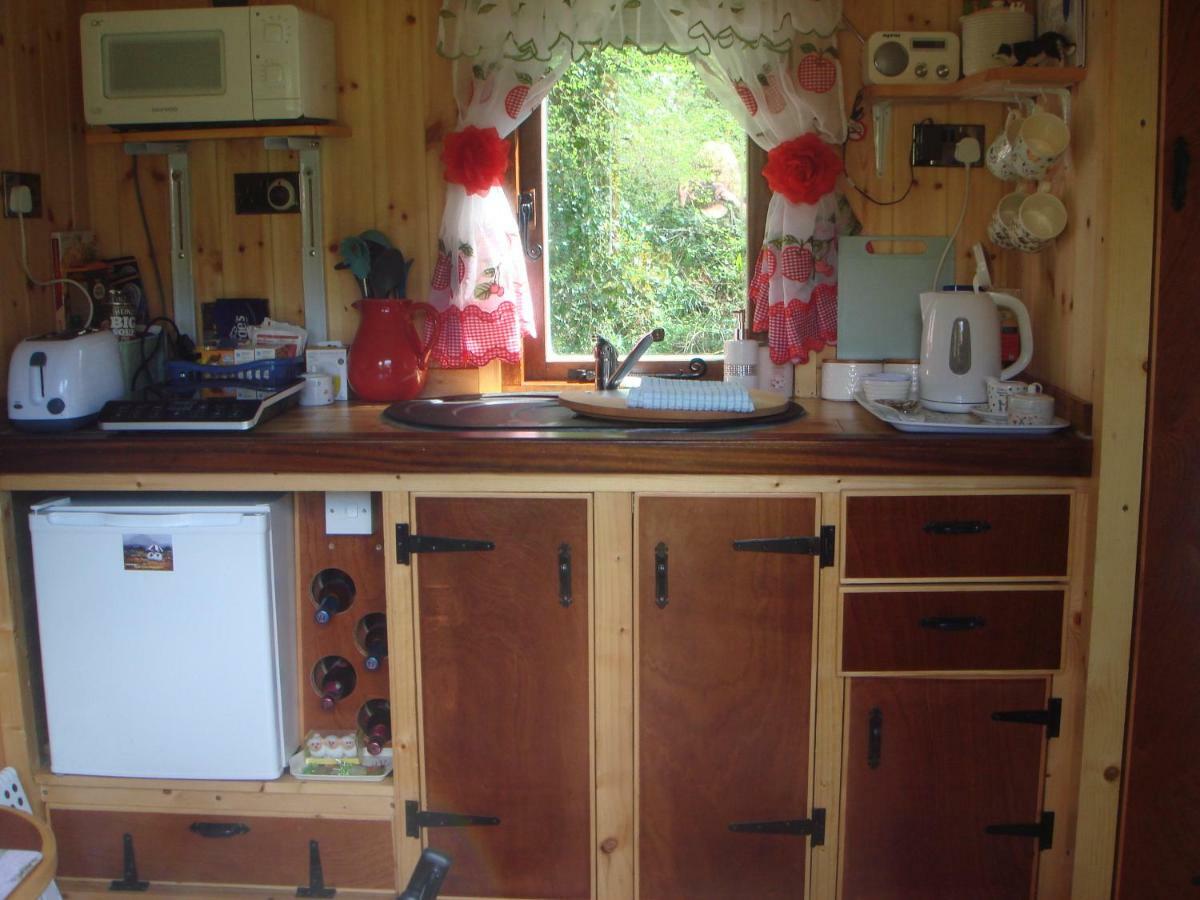 'Morris' The Shepherd'S Hut And Woodland Hot Tub Experience Кармартен Екстер'єр фото