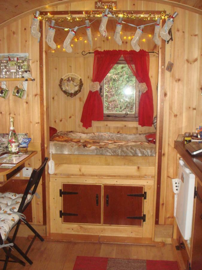 'Morris' The Shepherd'S Hut With Woodland Hot Tub Кармартен Екстер'єр фото