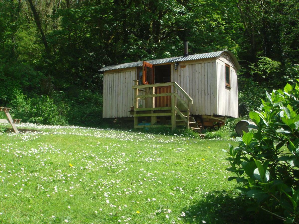 'Morris' The Shepherd'S Hut With Woodland Hot Tub Кармартен Екстер'єр фото