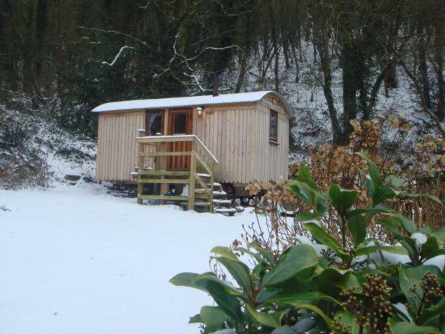 'Morris' The Shepherd'S Hut With Woodland Hot Tub Кармартен Екстер'єр фото