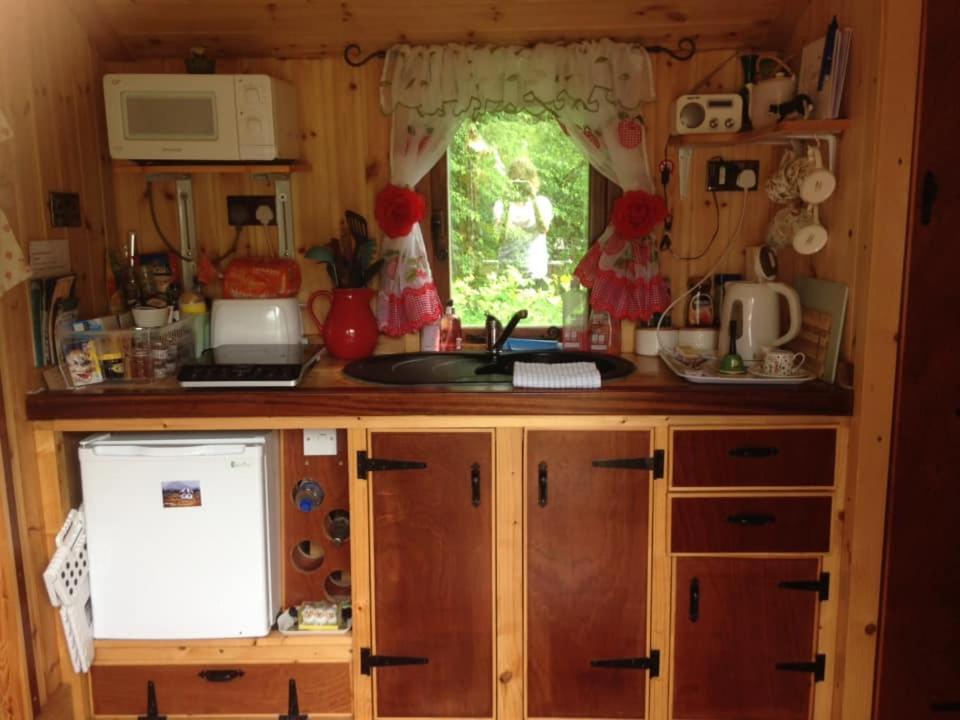 'Morris' The Shepherd'S Hut And Woodland Hot Tub Experience Кармартен Екстер'єр фото