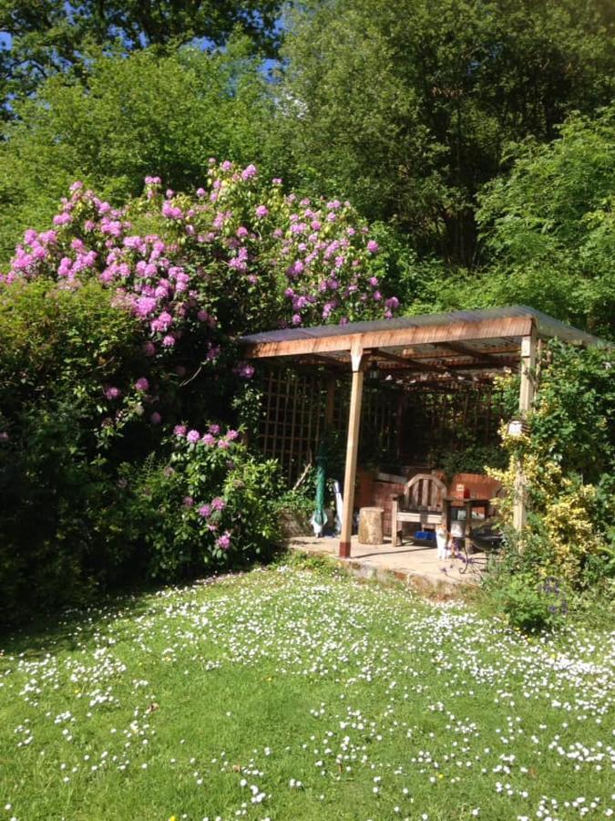 'Morris' The Shepherd'S Hut And Woodland Hot Tub Experience Кармартен Екстер'єр фото